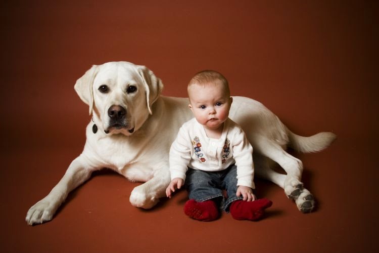 Choosing The Best Dog For Your Kids – An Ultimate Guide