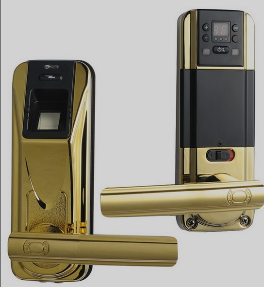 Keep Your Property Safe With The Help Of Security Doors