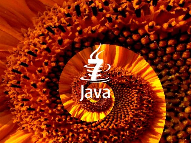 Java Zero Day Exploits – Steps to Deal it with Zeal