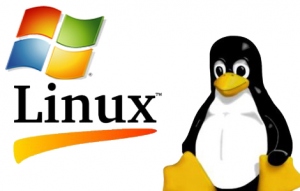 The Reason Linux Hosting Is Better