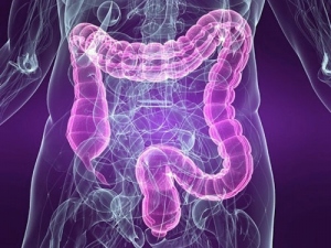 Take The Leaky Gut Syndrome Quiz Today