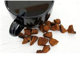 The Excellent Features Of The Chaga Mushroom Tea