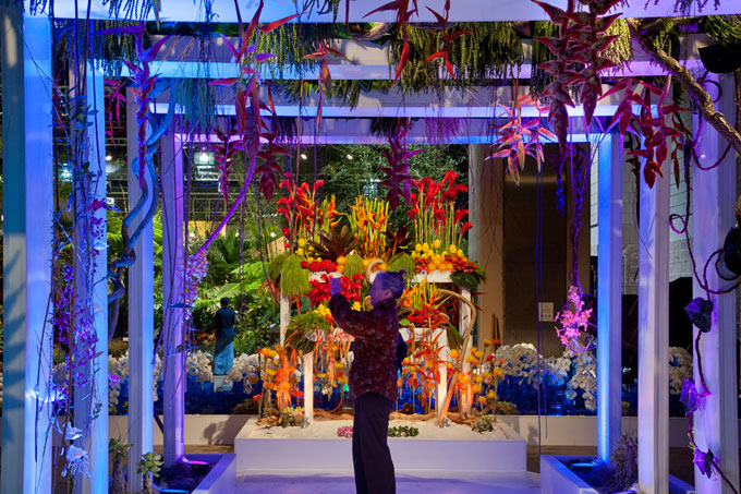 Top 7 Amazing Flower Presentation Styles That Will Blow Your Mind!