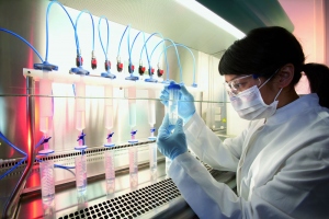 5 Myths Of Stem Cell Research You Might Not Know!