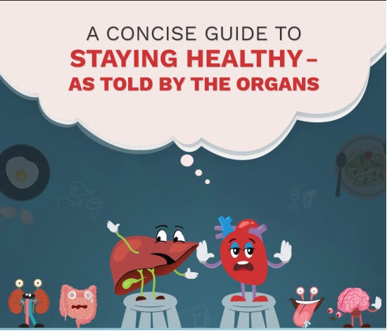 A Concise Guide To Staying Healthy – As Told by The Organs