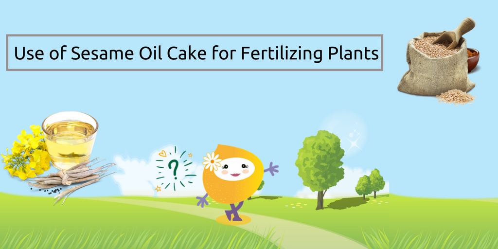 Use of Sesame Oil Cake for Fertilizing Plants