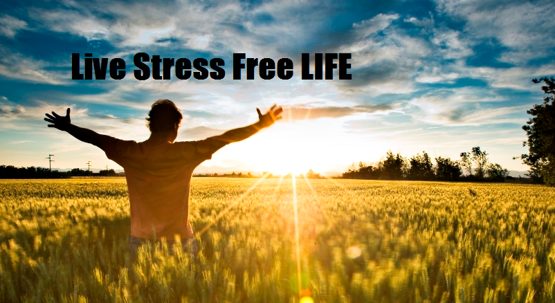 Things You Need To Follow - For A Stress-Free Life