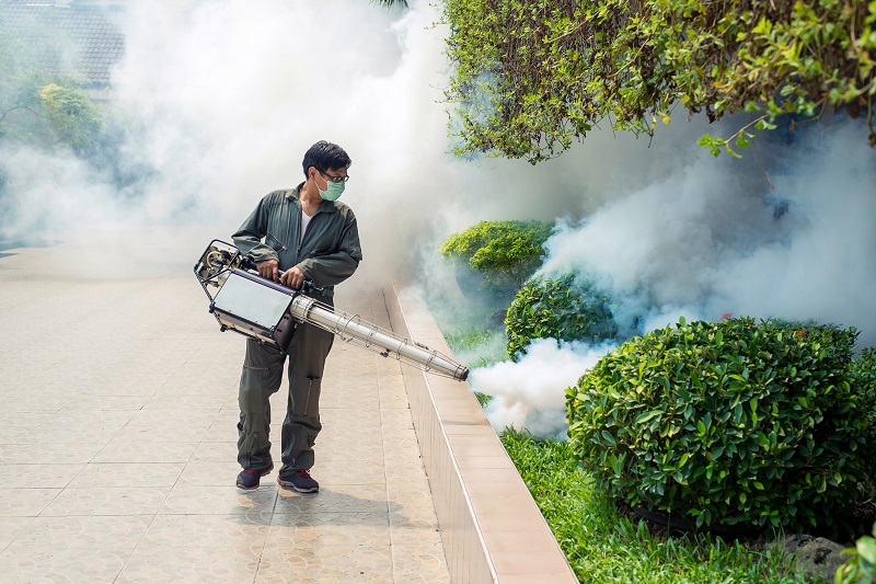 Know This Before You Hire A Pest Control Service