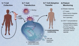 Engineered T-Cell Therapy Revolutionizes Cancer Treatment