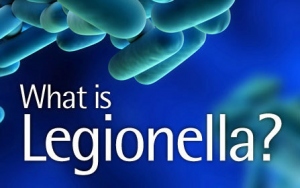 Where Should You Test For Legionella Bacteria?