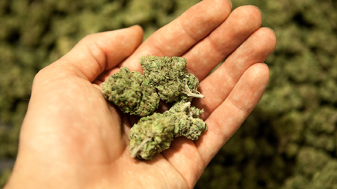 Is The Use Of Marijuana Good For Your Health