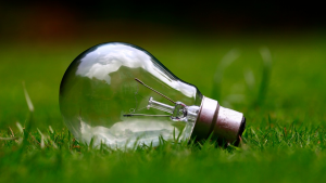 Ecological Light Bulbs