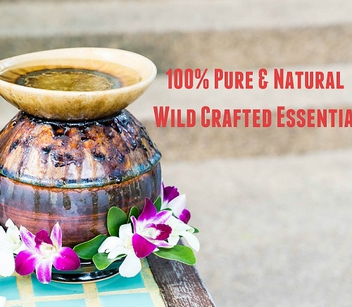 Deep Thoughts On The Goodness Of Wild Crafted Essential Oils